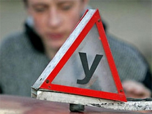 Число автошкол в Беларуси в первом полугодии возросло на 1,8%