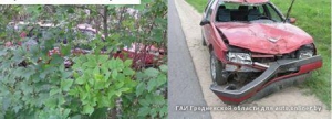 Ивьевский район: водитель Peugeot сбил пешехода и спрятал его тело в кустах