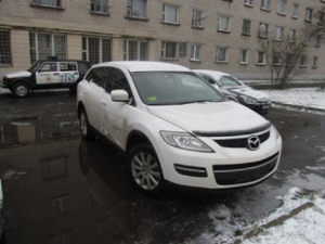 В Пинске массово воруют номера с авто