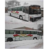 Neoplan 216