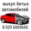 Прикрепленные изображения