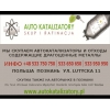 покупаем автокатализаторы